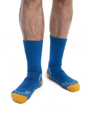 Icebreaker Merino Hike+ Heavy Crew Socks Strumpor Herr Vita | PDHRJX234