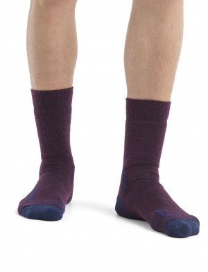 Icebreaker Merino Hike+ Medium Crew Socks Strumpor Herr Nightshade/Lazurite | VQLROZ956