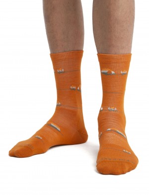 Icebreaker Merino Lifestyle Ultralight Crew Socks Backcountry Camp Strumpor Herr Earth/Solar | CYNOAR813