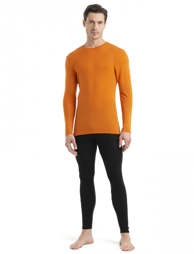 Icebreaker Merino 175 Everyday Long Sleeve Crewe Thermal Top Blast Herr Earth | SZQPAI419