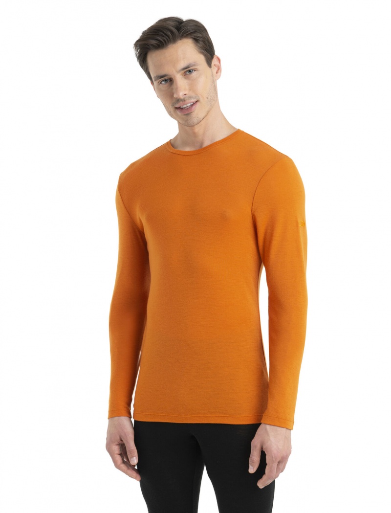 Icebreaker Merino 175 Everyday Long Sleeve Crewe Thermal Top Blast Herr Earth | SZQPAI419