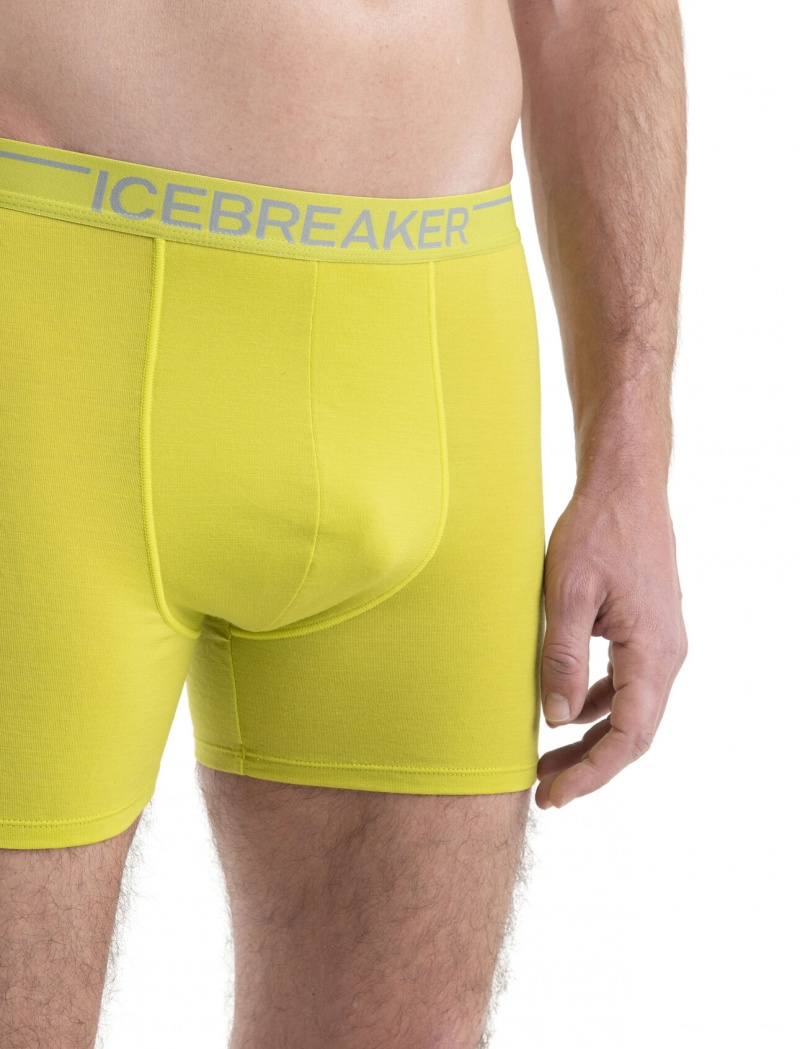 Icebreaker Merino Anatomica Boxers Underkläder Herr Ljusgröna | BVQCXO567