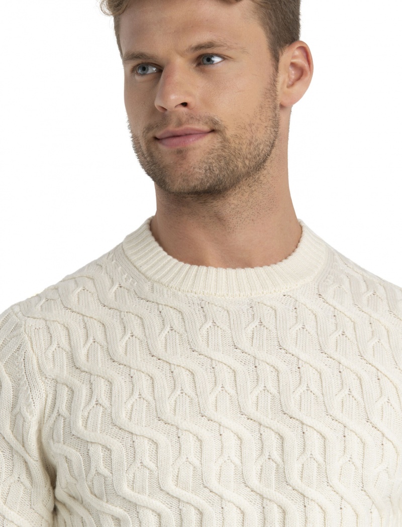 Icebreaker Merino Cable Knit Crewe Tröja Tröjor Herr Undyed | LWVEXB208